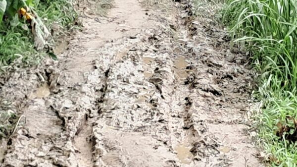 টঙ্গিবাড়ীর বেহাল সড়কে দুর্ভোগে এলাকাবাসী।