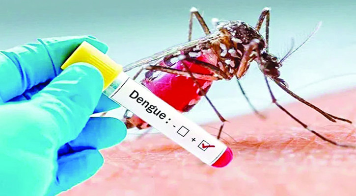 ডেঙ্গুতে তিনজনের মৃত্যু, হাসপাতালে ভর্তি ৪৫৮