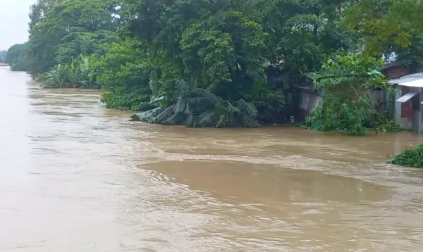 হবিগঞ্জে নদীর বাঁধ ভেঙে ১০ গ্রাম প্লাবিত, নিরাপদ আশ্রয়ে ছুটছে মানুষ