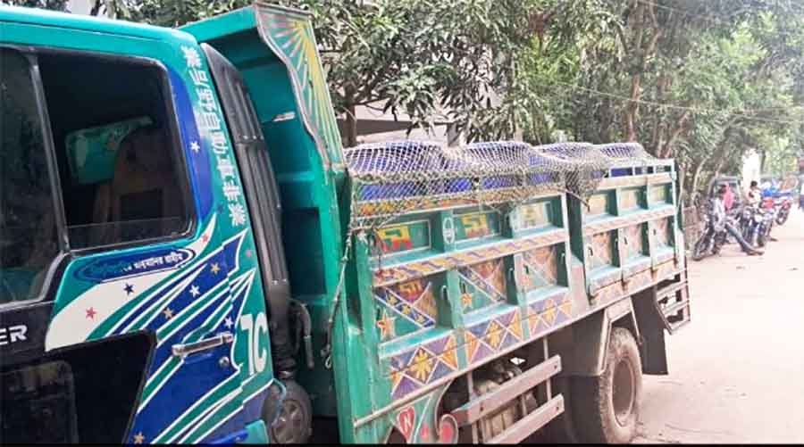 সোনাগাজীতে যুবদল নেতার নেতৃত্বে অর্ধকোটি টাকার মাছবোঝাই ট্রাক ছিনতাই