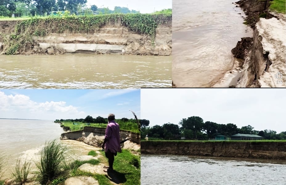 চাঁপাইনবাবগঞ্জে পদ্মার ভয়াল ভাঙনে বিলীন দুই শতাধিক বাড়ি