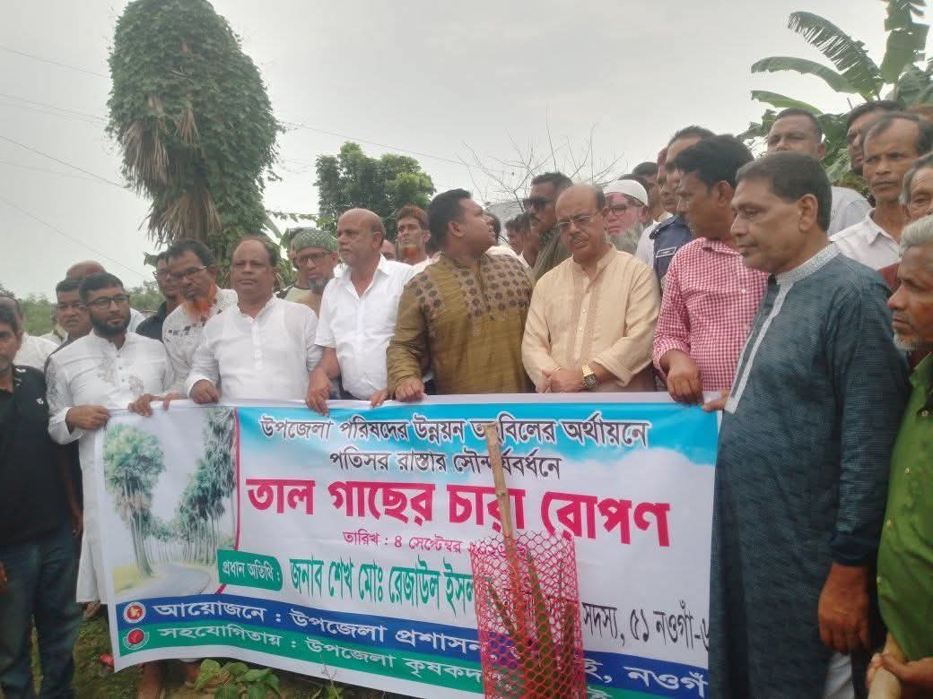 তাল গাছের গুরুত্ব আপরিসীম আত্রাইয়ে এমপি রেজাউল ইসলাম