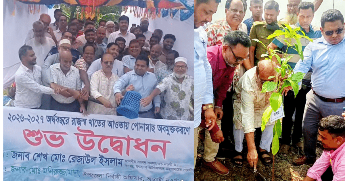 আত্রাইয়ে মাছের পোনা অবমুক্ত বৃক্ষ রোপন ও গন সাক্ষাৎ করলেন এমপি রেজাউল ইসলাম
