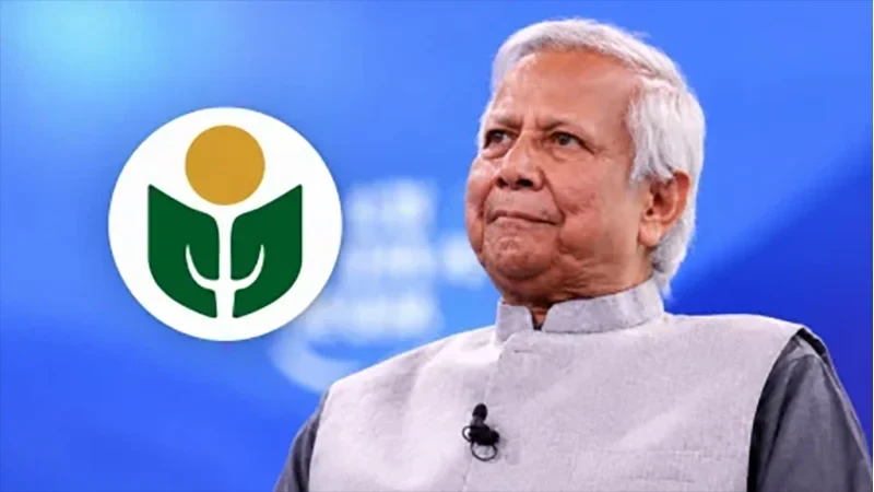 ইউনূসের প্রতিষ্ঠানের কর ফাঁকির ‘ধ্রুপদী নজির’: হাইকোর্টের রায় পর্যবেক্ষণে আওয়ামীলীগ আমলে দেয়া রায়ের প্রতিফলন